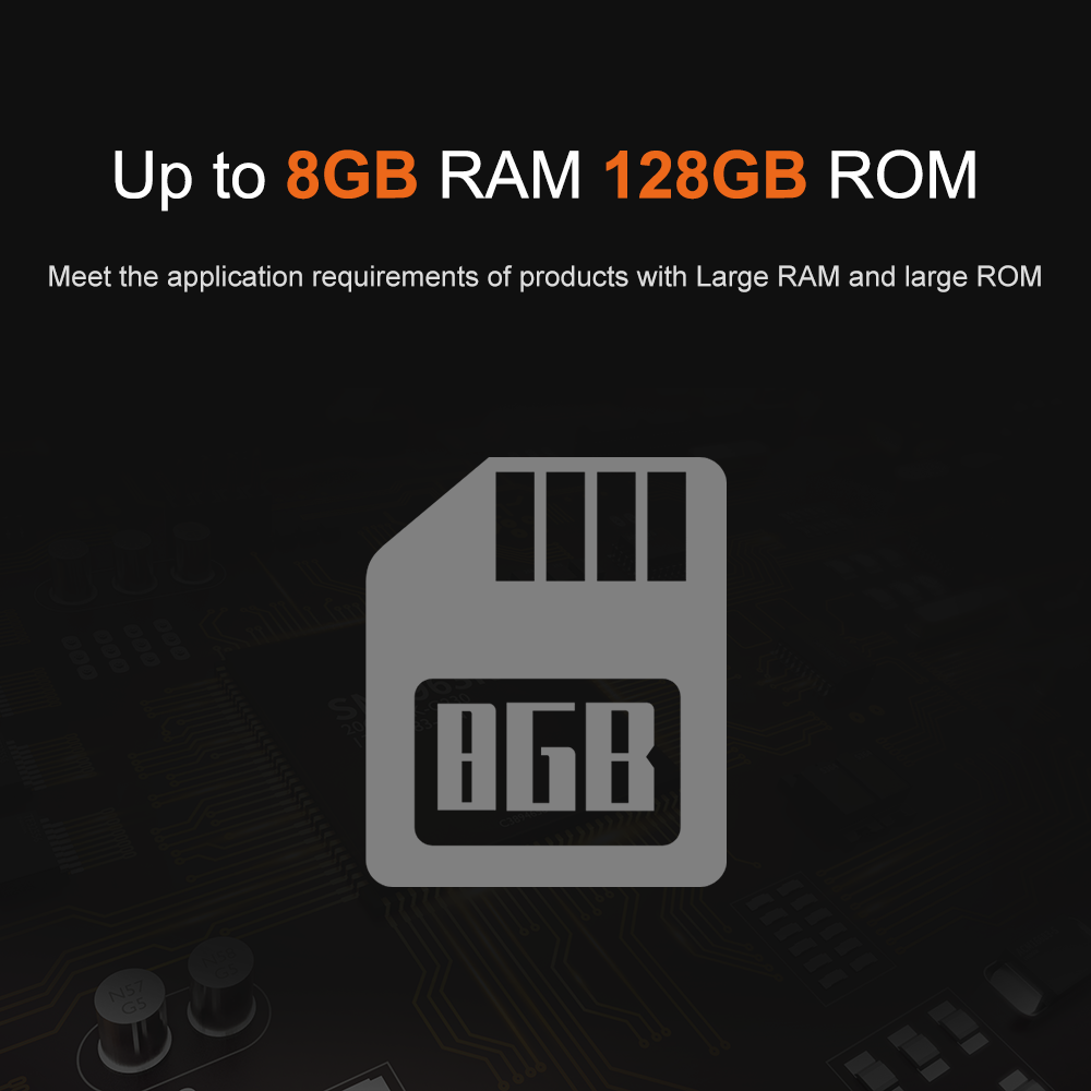Liontron RK3566 DDR4 8GB RAM A - Open Vending Machine recension och pris